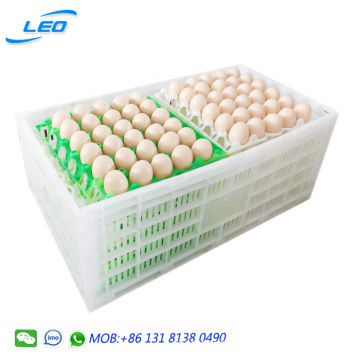 New type plastic egg crate egg transport box